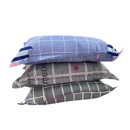 枕芯（xīn）+枕套（tào）